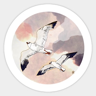 Seagulls Sticker